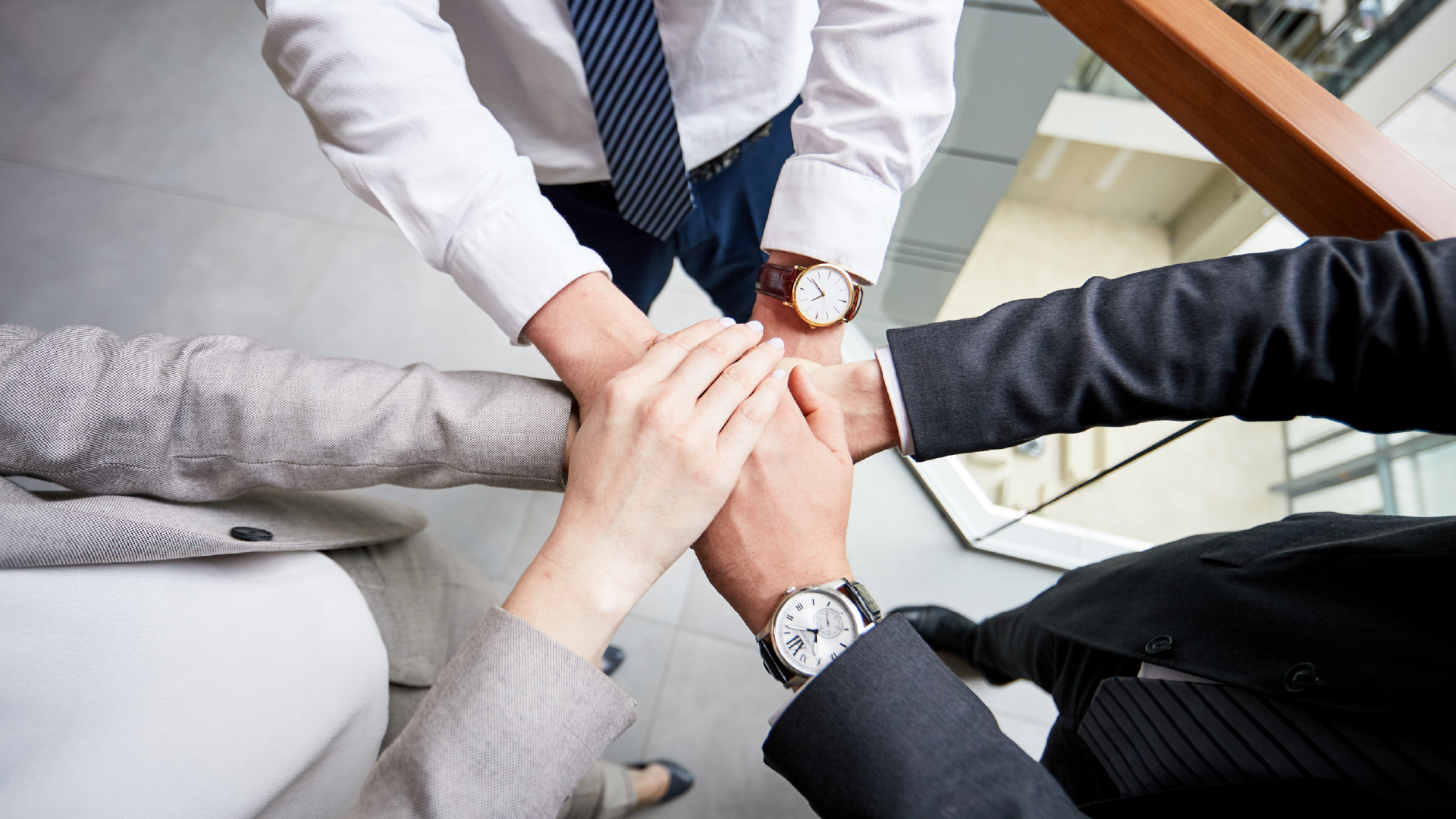 옵티로 솔루션 사례